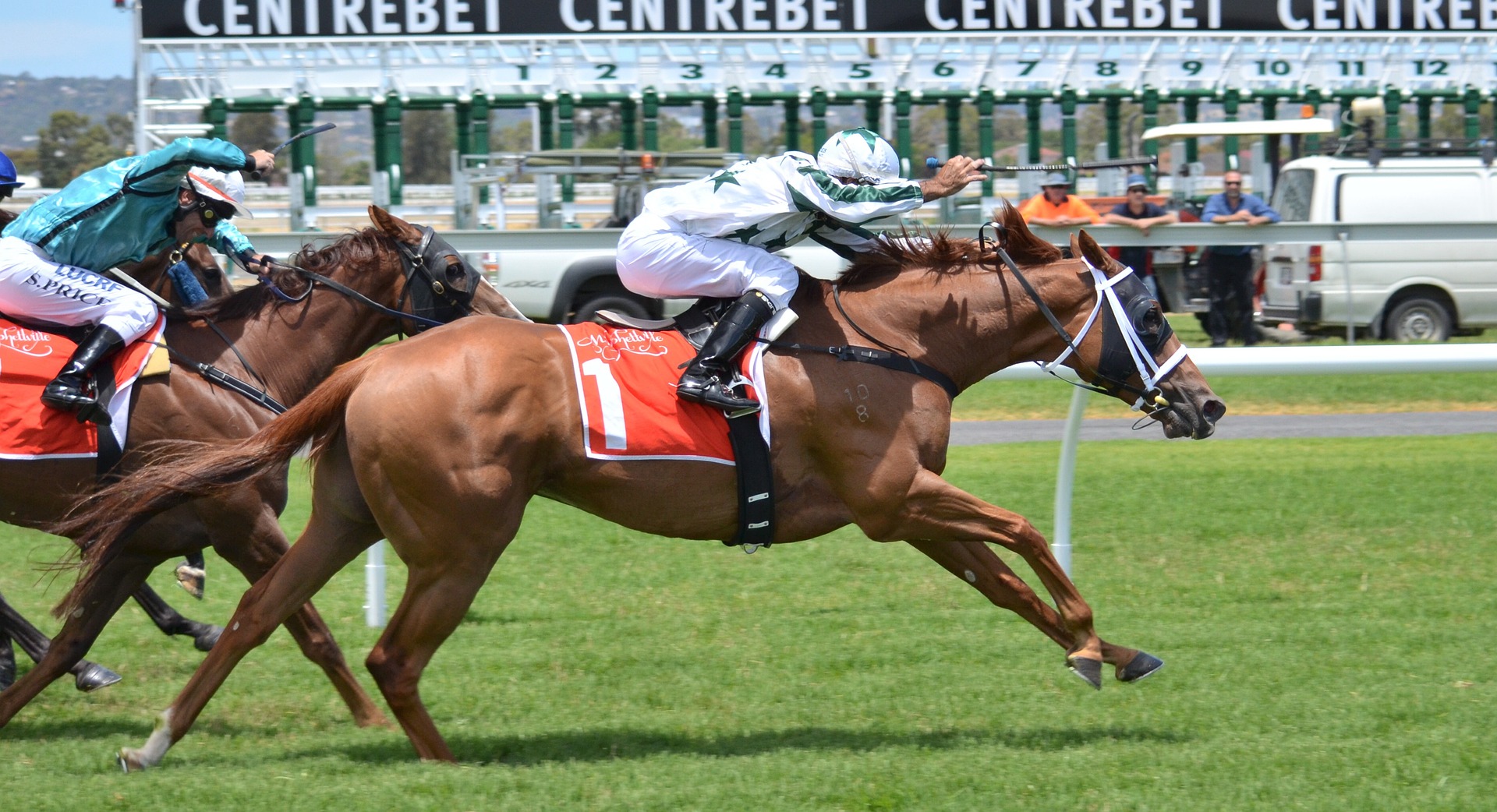 coût des chevaux de course